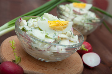 Spring salad with radishes and cucumbers