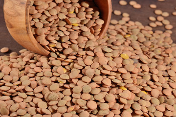 Green raw lentil  in a bowl