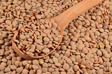 Green raw lentil in a spoon
