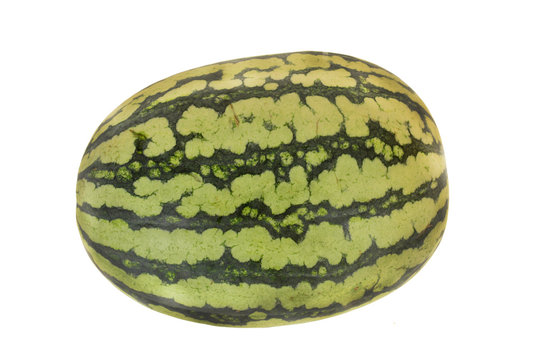 Whole Watermelon Fruit Isolated On White