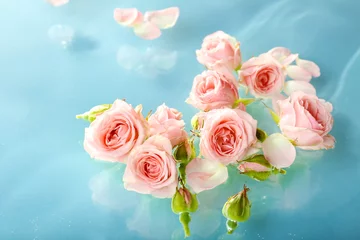 Crédence de cuisine en verre imprimé Roses Floating pink roses close up