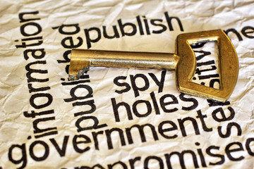 Publish spy key concept