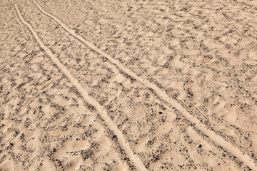 tracks at the beach