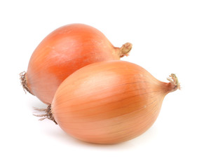 Onion isolate on white background