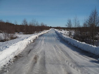 Obraz premium road in the forest in winter