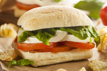 Organic Homemade Caprese Sandwich