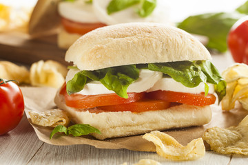 Organic Homemade Caprese Sandwich