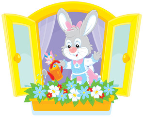 Easter Bunny watering window flowers