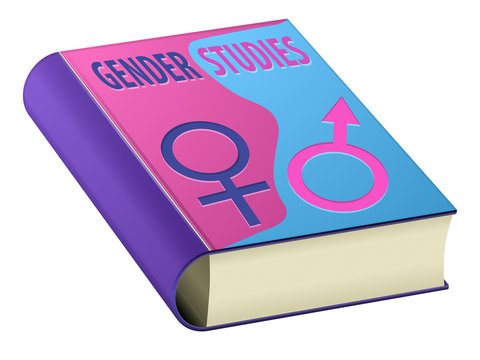 Gender studies book