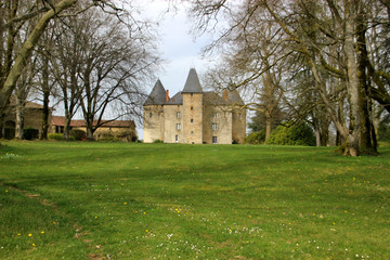 Fototapeta na wymiar Château de Brie (Haute-Vienne)