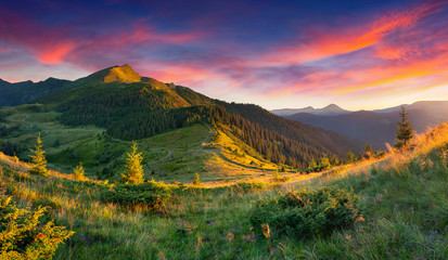 Beautiful summer landscape in the mountains. Sunrise