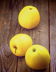 Yellow Apples