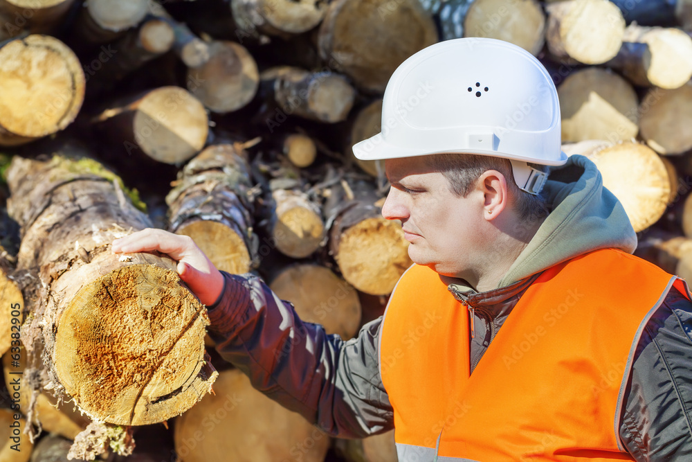 Sticker lumberjack near logs in forest