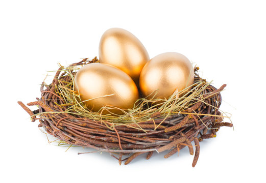 Gold Eggs