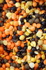 dried lentils