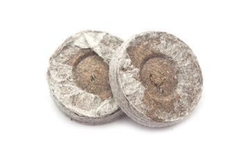 Fototapeta premium Peat tablets for seedlings