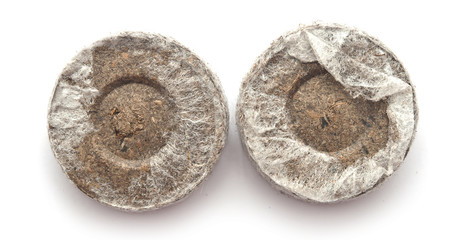 Peat tablets for seedlings