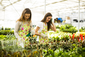 Young women in flower garden