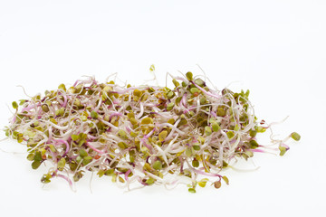 The healthy diet. Fresh sprouts isolated on white background