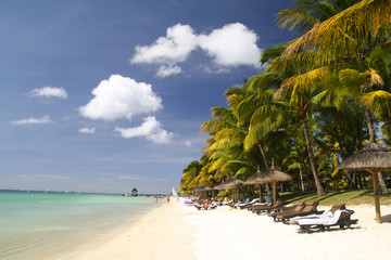 Tropical beach with white sand, palm trees and sun umbrellas