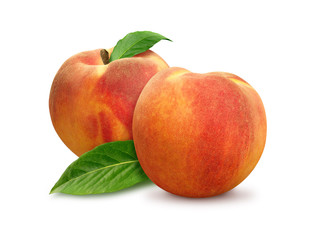 Two Peaches isolated
