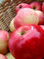 Red apples in a basket