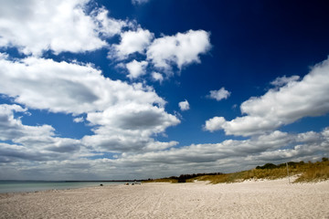 Fototapeta na wymiar beaches of Denmark