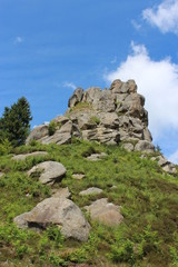 Fototapeta na wymiar sheafs of hay standing in Carpathian mountains