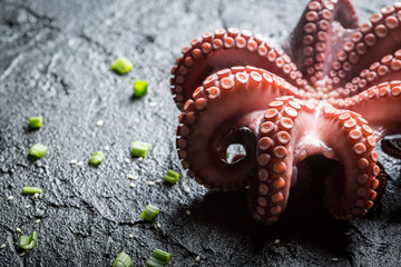 Closeup of freshly cooked purple octopus