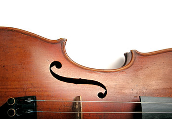 Old scratched violin on white background