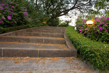 Stair in Park Landscaped