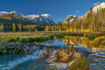 Creek has been damed by beavers in Idaho © knowlesgallery
