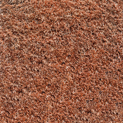 Carpet or rug texture for background usage. Closeup.