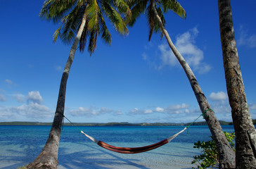 Colorful hammock between palm trees, Ofu island, Vavau group, To