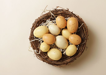 Eggs in a Nest, 