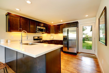 Chocolate color kitchen room with door to backyard