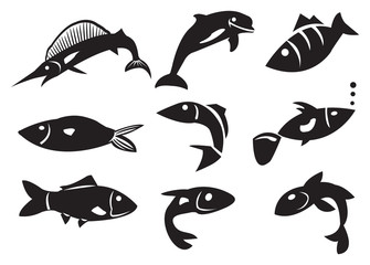 Vector Illustration of Different Fish