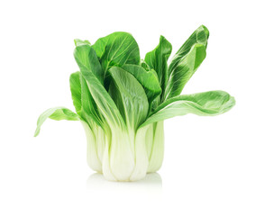 Fresh Chinese Cabbage