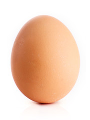 Brown Egg