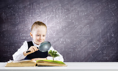 School education