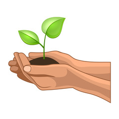 Fototapeta na wymiar Hands and Plant on White Background. Vector