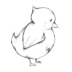 Süßes, etwas zu dickes Küken