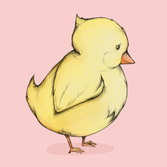 Süßes Küken vor rosa Hintergrund