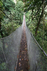 Aerial Walkway in Costa Rica