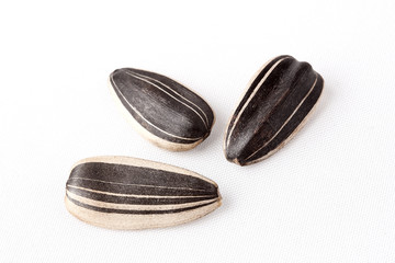 seeds