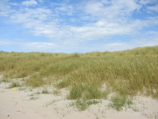 dune sable plage