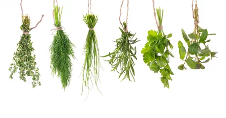 Photo sur Plexiglas Aromatique various herbs