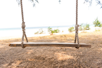 Swing hang from tree over beach