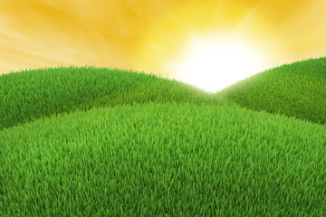 Fototapeta na wymiar Green hill of grass at sunset