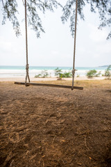 Swing hang from tree over beach